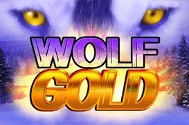 Wolf Gold Гизбо Казино